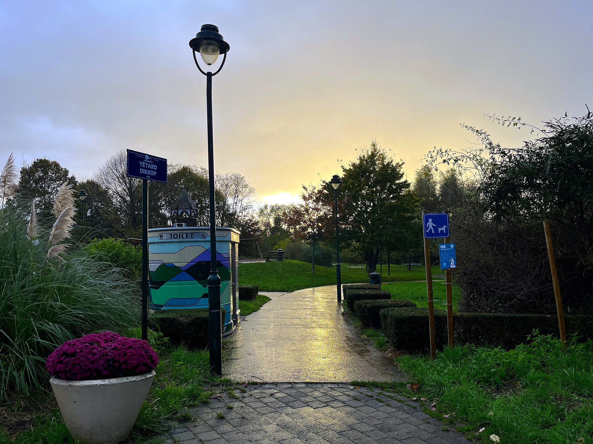 Een beschilderd toiletgebouwtje in het Park van Haren in Brussel, bij zonsondergang, met het opschrift TOILET en een rolstoelpictogram